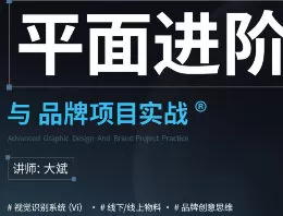 大斌平面进阶与品牌项目实战2024【画质高清有素材】