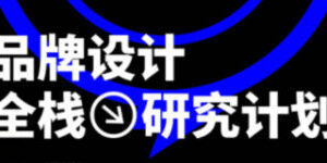 摇醒实验室品牌设计全栈研究计划种子期1.0【画质不错有素材】