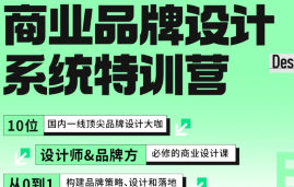 数艺设商业品牌设计系统特训营2024【画质高清只有视频】