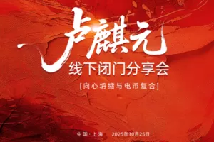 卢麟元老师上海10.25闭门会资料全球宏观变局(“向心坍缩”)下的货币体…