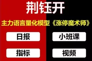 荆钰开主力语言量化模型《涨停魔术师》擒龙特训小班课+资料指标