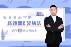 许佳聪《裸K线交易法》价格行为视频讲解