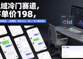 私域冷门赛道，客单价198，引流模板简单，人群精准，转化45%，单人一天大概收益1k