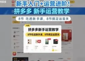 新手入门+运营进阶！拼多多新手运营教学，8节吃透新手课，8节搞定运营关
