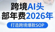 跨境AI头部年费2026年，打造跨境爆款SOP
