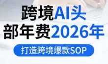 跨境AI头部年费2026年，打造跨境爆款SOP