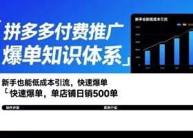 拼多多付费推广爆单知识体系，新手也能低成本引流，快速爆单，单店铺日销500单