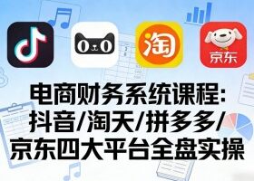 电商财务系统课程，覆盖抖音、淘天、拼多多、京东四大主流平台的全盘实操