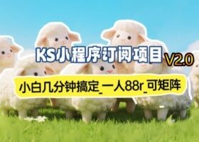 【新一期】小程序订阅_小白几分钟70-80r，可矩阵（已测到账）