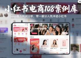 小红书电商108案例库,百W利润分析,带一部分人先冲进小红书【文档】