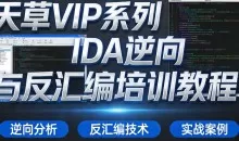 天草VIP系列IDA逆向与反汇编培训教程