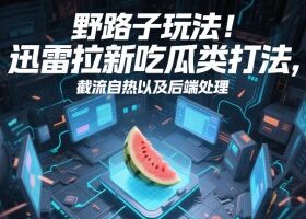 野路子玩法！迅雷拉新吃瓜类打法，截流自热以及后端处理