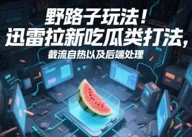 野路子玩法！迅雷拉新吃瓜类打法，截流自热以及后端处理