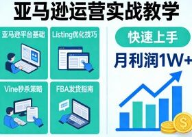 亚马逊运营实战教学，亚马逊平台+Listing优化+Vine秒杀+FBA发货等，快速上手，实现店铺月利润1W
