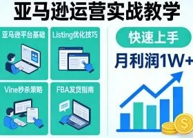 亚马逊运营实战教学，亚马逊平台+Listing优化+Vine秒杀+FBA发货等，快速上手，实现店铺月利润1W