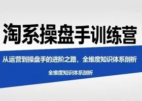 淘系操盘手训练营，​从运营到操盘手的进阶之路，全维度知识体系剖析