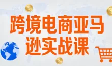 丝丝老师·跨境电商亚马逊实战课(更新2月)