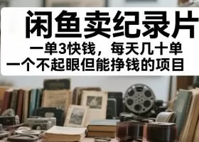 闲鱼卖纪录片，一单3快钱，每天几十单，一个不起眼但能挣钱的项目【揭秘】