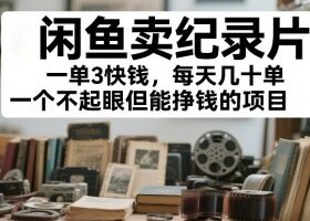 闲鱼卖纪录片,一单3快钱,每天几十单,一个不起眼但能挣钱的项目【揭秘】
