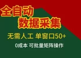 全自动数据采集项目，无需人工，单窗口可达50+收益，操作简单无难度，一个人也能轻松实现矩阵【揭秘】