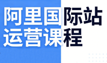 张国儒·阿里国际站运营课程（更新2026）