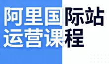 张国儒·阿里国际站运营课程（更新2026）