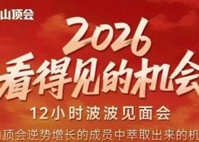 2026看得见的机会,剖析十几个实战案例,可直接抄作业,再优化迭代,内容超全,干货满满