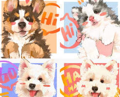 凶猛悍兔色彩专题课2025【画质高清有课件笔刷】