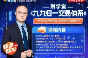 北斗老师《九九归一交易体系》系统课+指标