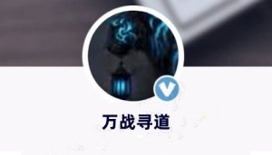 【万战寻道】短线交易体系课