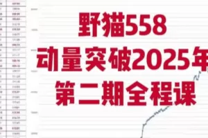 野猫558动量突破2025年第二期全程课