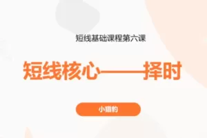 小猎豹卖点与仓位分配视频+短线核心—择时视频 2集