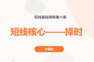 小猎豹卖点与仓位分配视频+短线核心—择时视频 2集
