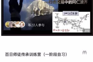 百日师徒传承训练营参悟赢家交易思维二十一天训练营