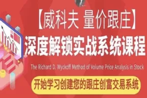 跟庄大王第七届威科夫量价跟庄培训班课程视频回放（包含PPT课件资料）…