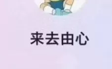 来去由心股票课程充电视频 2026