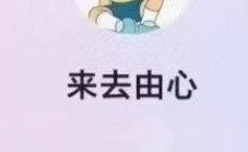 来去由心股票课程充电视频 2026