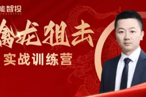 预言老师吴文程《主力涨停擒龙狙击乾坤打板训练营》系统课+实战复盘课…