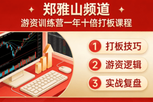【郑雅山频道】游资训练营一年十倍打板课程 29文档
