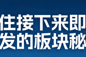 抓住接下来即将爆发的板块秘诀 7文档