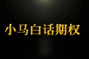 小马白话期权【第4季】