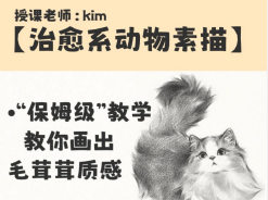 kim治愈系宠物素描2025【画质不错有资料】
