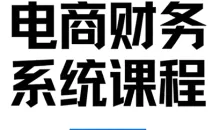 郑老师·电商财务系统课程