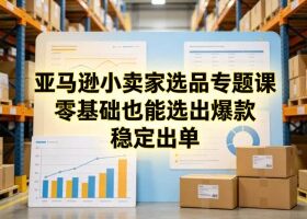 亚马逊小卖家选品专题课，零基础也能选出爆款，稳定出单