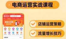 纪主任·拼多多特训营（更新3月）拼多多运营必看