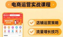 纪主任·拼多多特训营（更新3月）拼多多运营必看