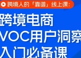 跨境电商VOC用户洞察入门必备课,跨境人的靠谱线上课