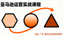 毕方电商·亚马逊全站会员课程（更新3月）