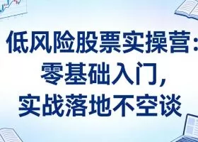 低风险股票实操营：零基础入门，实战落地不空谈
