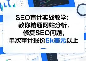 SEO审计实战教学:教你精通网站分析,修复SEO问题,单次审计报价5k美元以上